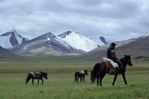 TREKKING IN LADAKH | CHANGTANG 2017